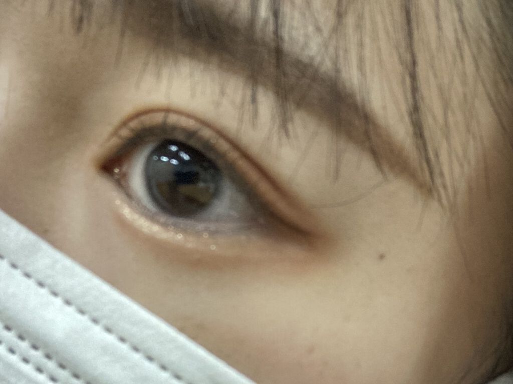 シルキースフレアイズ（マットタイプ）/キャンメイク/アイシャドウパレットを使ったクチコミ（1枚目）