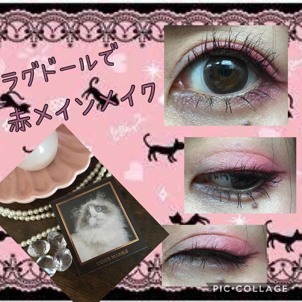 Venus Marble アイシャドウキャットシリーズ/Venus Marble/アイシャドウパレットを使ったクチコミ(1枚目)