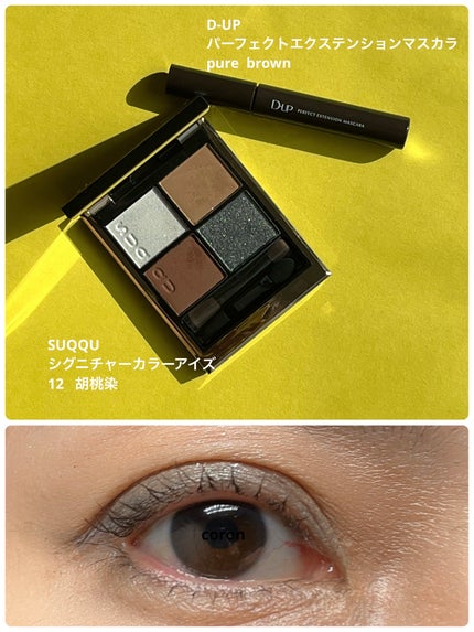 パーフェクトエクステンション マスカラ/D-UP/マスカラを使ったクチコミ(1枚目)