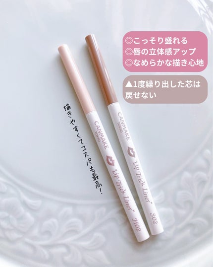 リップトリックライナー/キャンメイク/リップライナーを使ったクチコミ(4枚目)