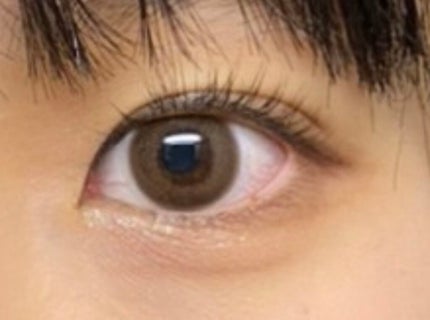 TOPARDS 1day/TOPARDS/ワンデー(1DAY)カラコンを使ったクチコミ(1枚目)