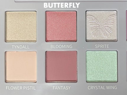 エクスプローラ12色 動物アイシャドウパレット/PERFECT DIARY/アイシャドウパレットを使ったクチコミ(3枚目)