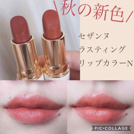ラスティング リップカラーN/CEZANNE/口紅を使ったクチコミ(1枚目)