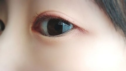 【旧品】パーフェクトスタイリストアイズ/キャンメイク/アイシャドウパレットを使ったクチコミ(2枚目)