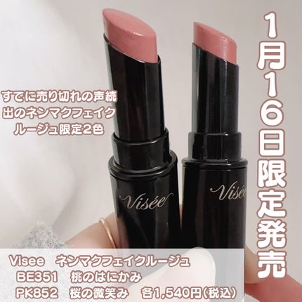 ネンマクフェイク ルージュ/Visée/口紅を使ったクチコミ(2枚目)