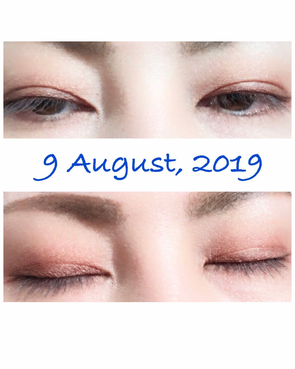 【旧品】パーフェクトスタイリストアイズ/キャンメイク/アイシャドウパレットを使ったクチコミ(2枚目)