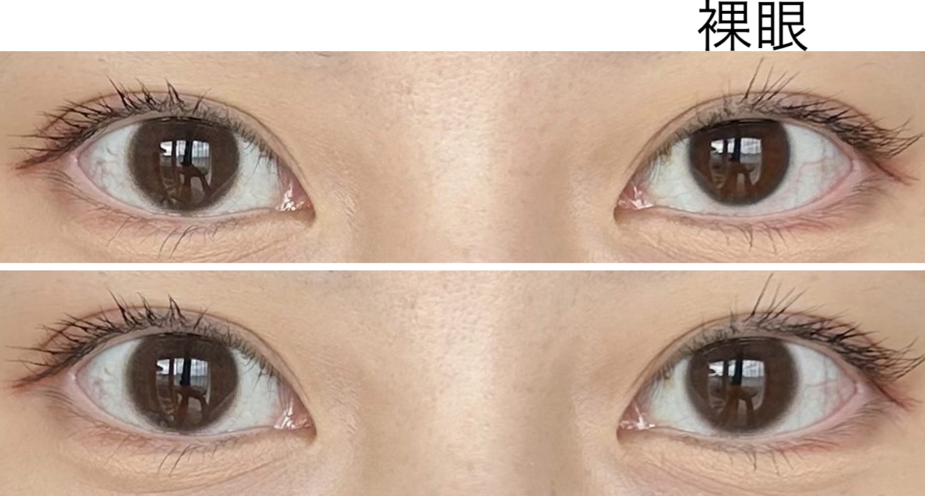 mimuco 1day/mimuco/ワンデー（１DAY）カラコンを使ったクチコミ（2枚目）