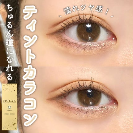 MOLAK 1day ティントブラウン/MOLAK/ワンデー(1DAY)カラコンを使ったクチコミ(1枚目)