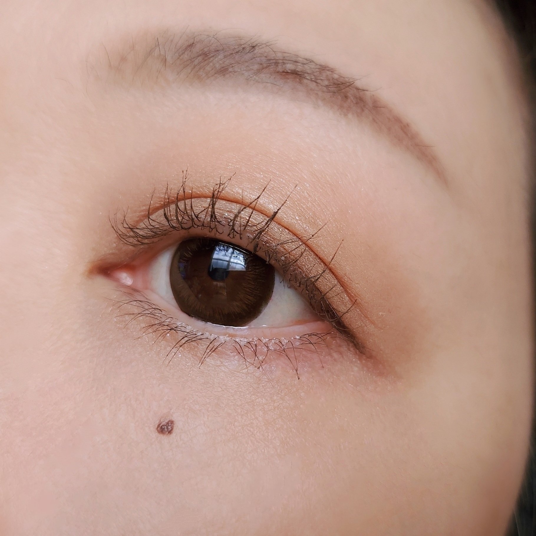 アイグロウジェム スキンシャドウ 14G cinnamon tan/DECORTÉ/ジェル・クリームアイシャドウを使ったクチコミ（3枚目）