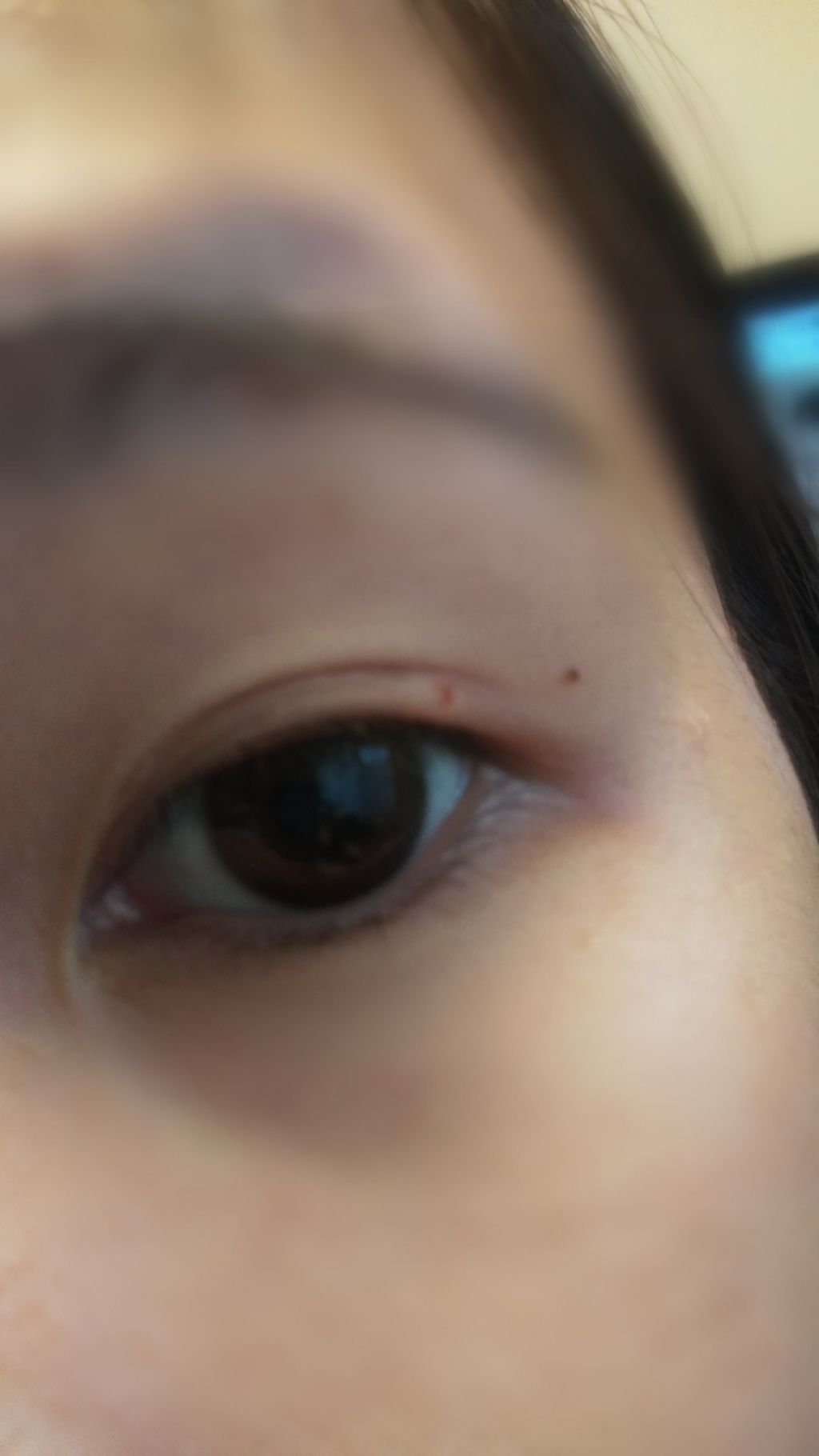 バンビシリーズ ワンデー ナチュラル/AngelColor/ワンデー(1DAY)カラコンを使ったクチコミ(2枚目)