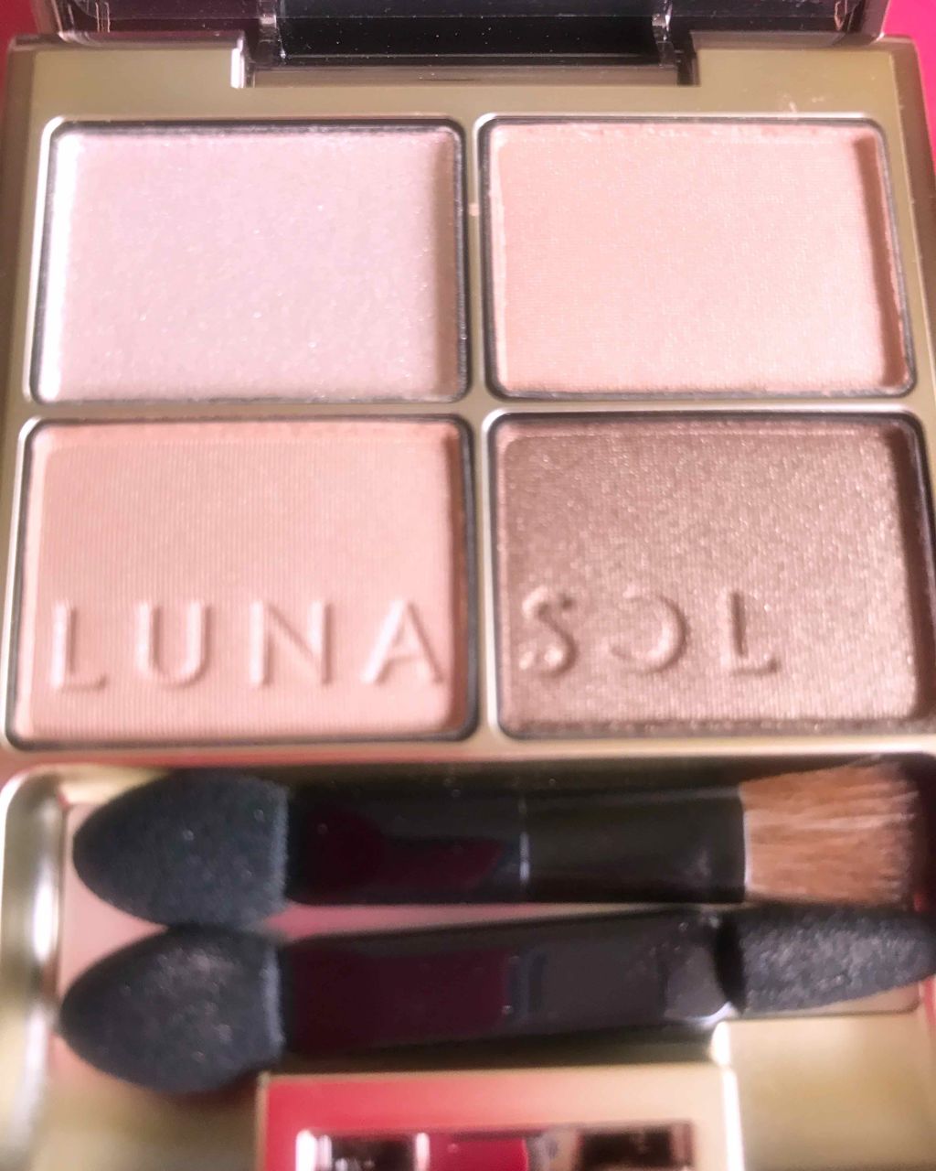 スキンモデリングアイズ/LUNASOL/アイシャドウパレットを使ったクチコミ(1枚目)
