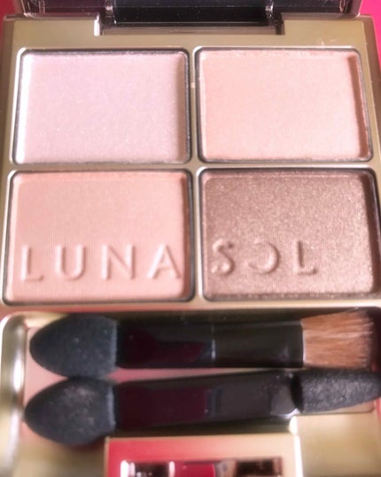 スキンモデリングアイズ/LUNASOL/アイシャドウパレットを使ったクチコミ(1枚目)