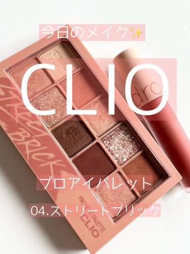 プロ アイ パレット 04 STREET BRICK/CLIO/パウダーアイシャドウを使ったクチコミ（1枚目）