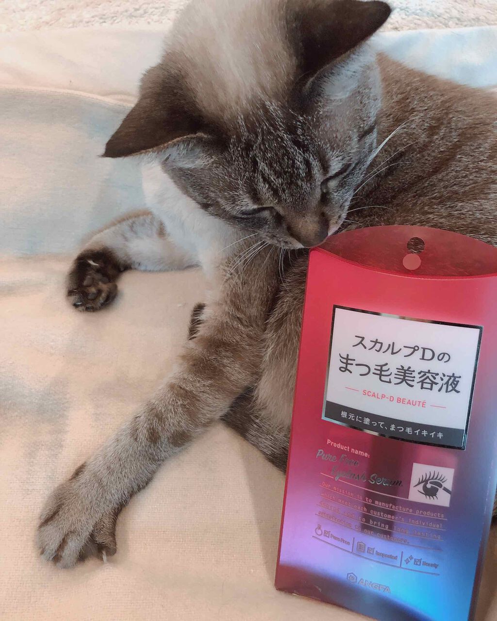 スカルプD ボーテ ピュアフリーアイラッシュセラム/アンファー(スカルプD)/まつげ美容液を使ったクチコミ(1枚目)