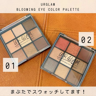 UR GLAM　BLOOMING EYE COLOR PALETTE/U R GLAM/アイシャドウパレットを使ったクチコミ（1枚目）