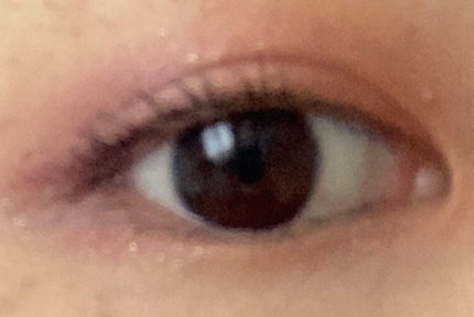 シャドーカスタマイズ/MAJOLICA MAJORCA/単色アイシャドウを使ったクチコミ(2枚目)