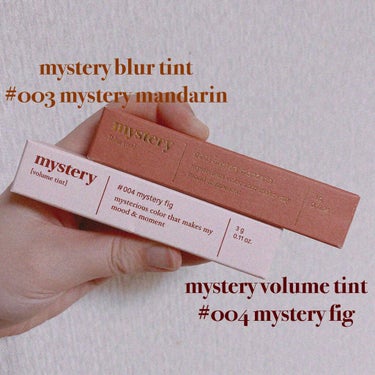 🥀I’M MEME
✔mystery blur tint #003mysterymandarin
✔mystery volume tint #004mysteryfig

オシャレなパッケージに惹かれて