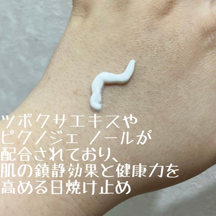 グリーンマイルドアップサンプラス/Dr.G/日焼け止めクリームを使ったクチコミ(2枚目)