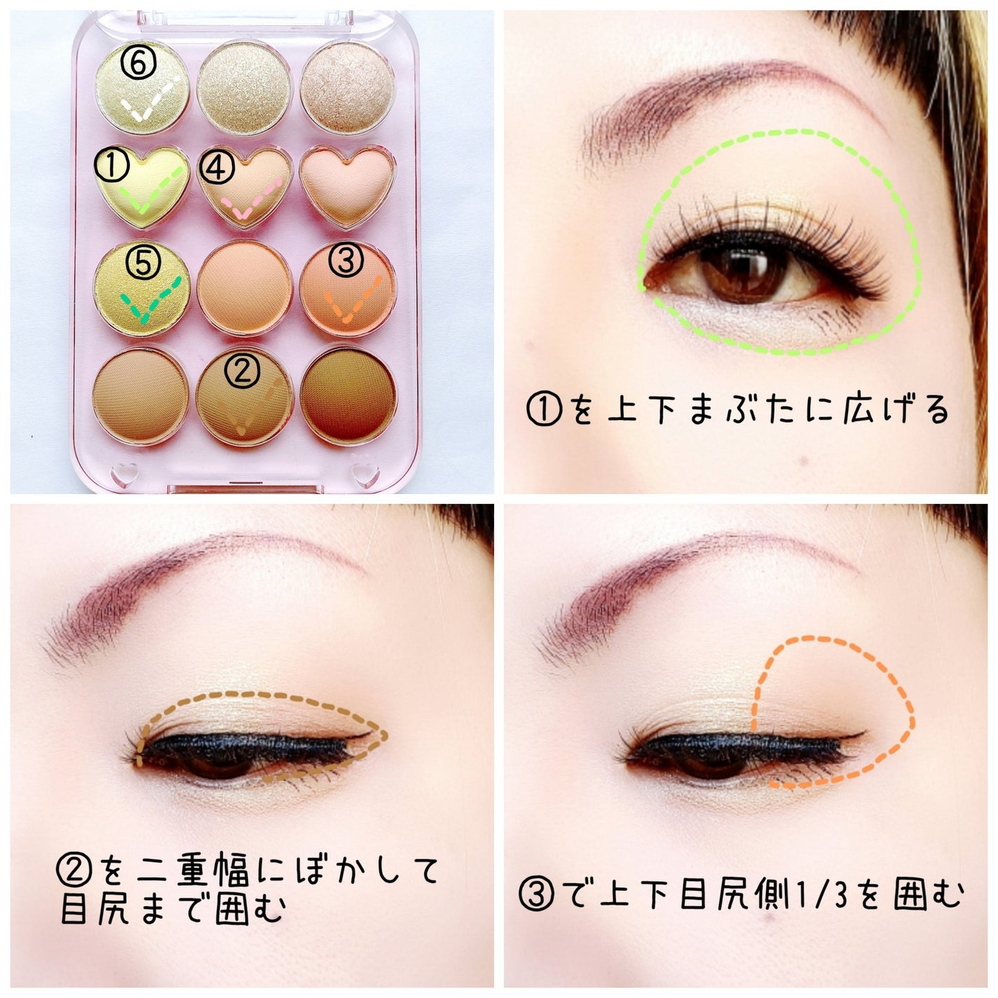 目元チュートリアルアイパレット/Colorgram/アイシャドウパレットを使ったクチコミ(2枚目)