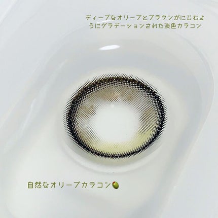 Secretive Kristen/Hapa kristin/カラーコンタクトレンズを使ったクチコミ(3枚目)