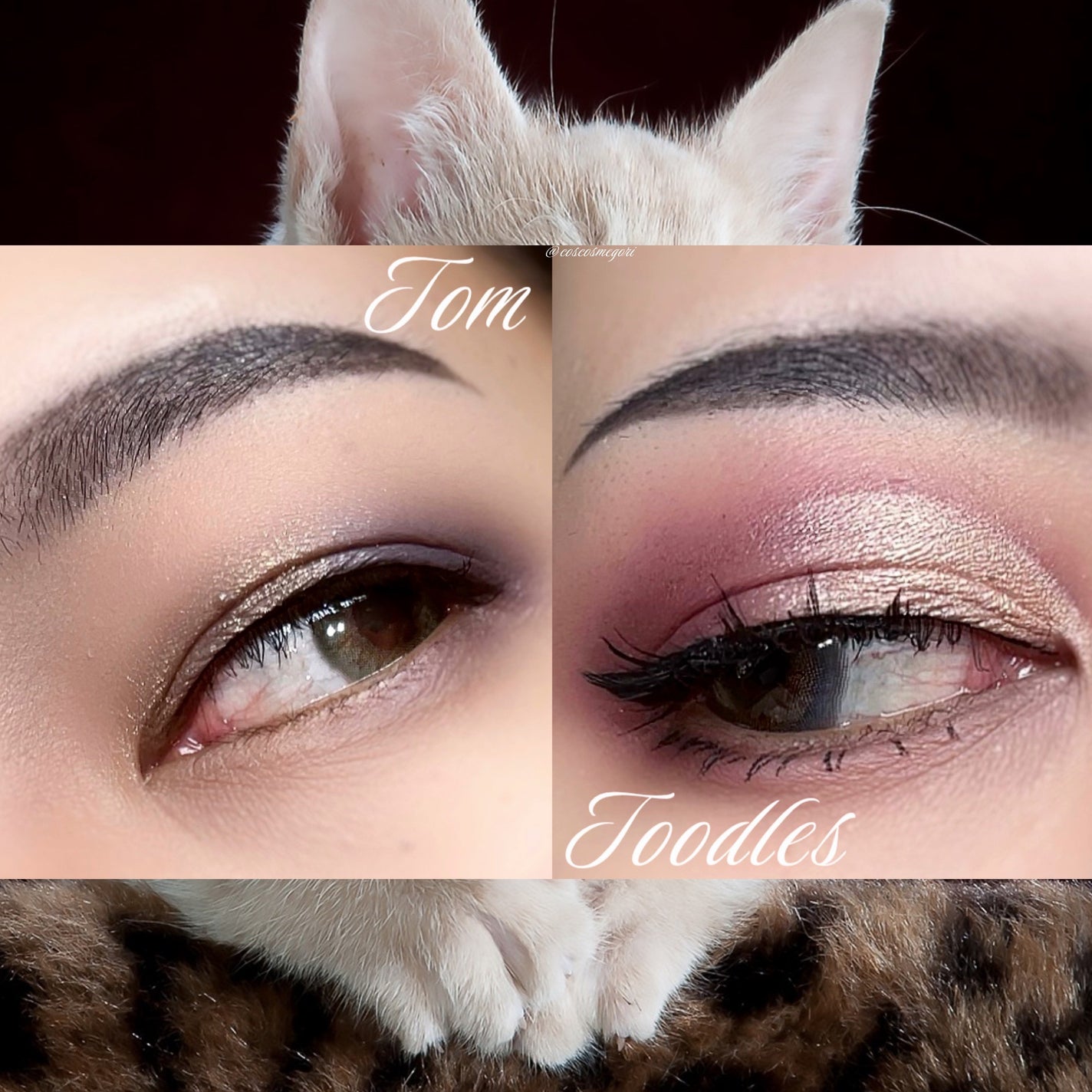 アイカラーパレット/heme/アイシャドウパレットを使ったクチコミ(2枚目)