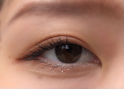 シルキースフレアイズ(マットタイプ)/キャンメイク/アイシャドウパレットを使ったクチコミ(4枚目)