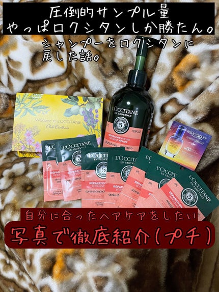 ファイブハーブスリペアリングシャンプー/コンディショナー/L'OCCITANE/シャンプー・コンディショナーを使ったクチコミ(1枚目)