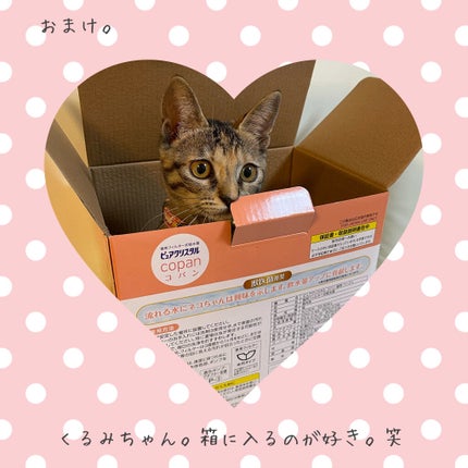 オーマイグロス/リンメル ロンドン/リップグロスを使ったクチコミ(9枚目)