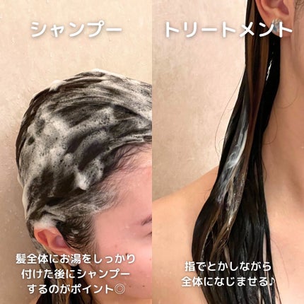 SIRTFL CC シャンプーモイスト/トリートメントモイスト/SIRTFL/市販シャンプーを使ったクチコミ(4枚目)