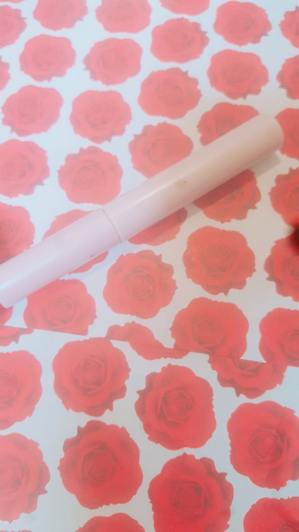 クイックラッシュカーラー/キャンメイク/マスカラ下地を使ったクチコミ(1枚目)