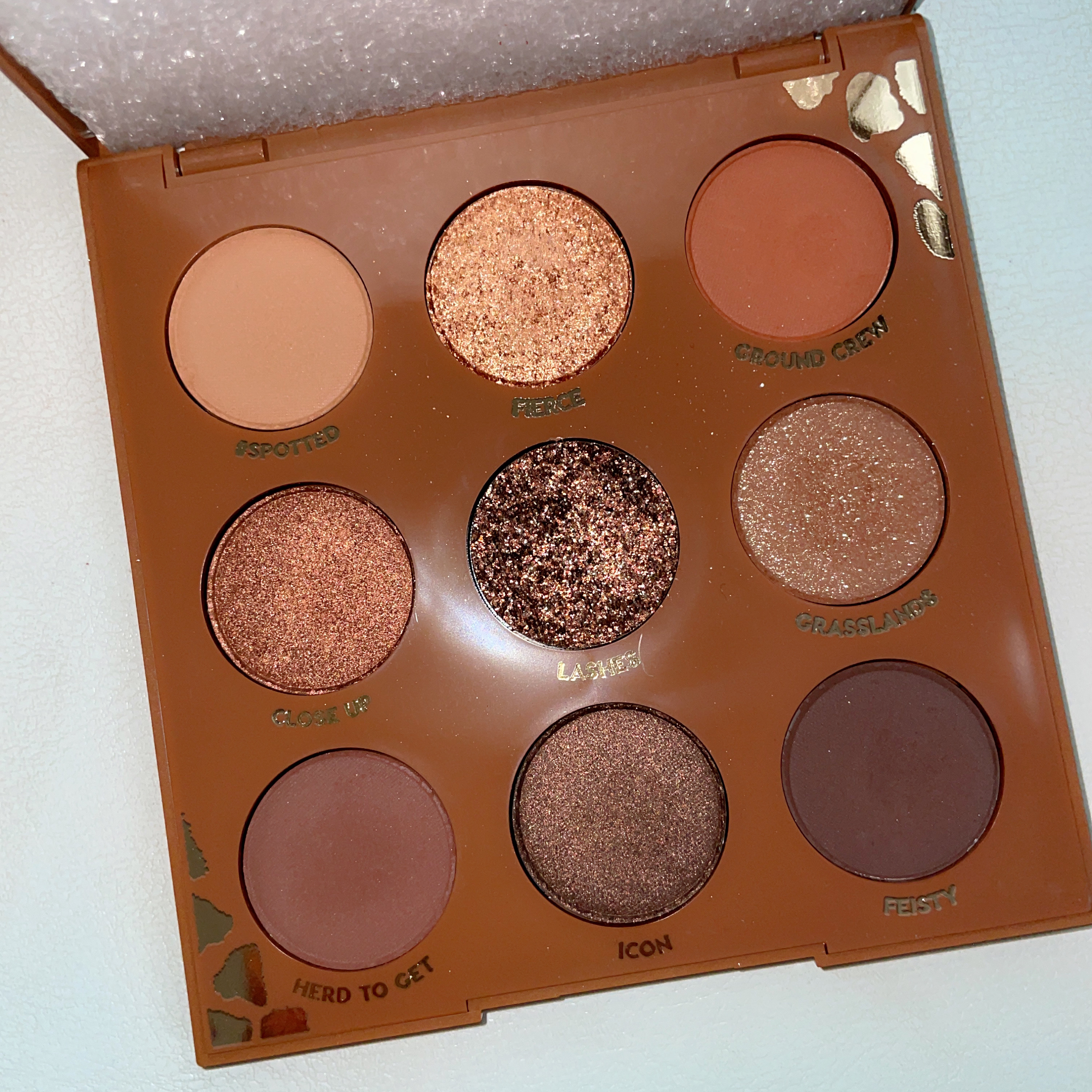 ワイルドチャイルド/ColourPop/アイシャドウパレットを使ったクチコミ（1枚目）