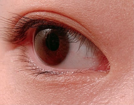 まつげくるんとカーラー/SHOBIDO/ビューラーを使ったクチコミ(10枚目)