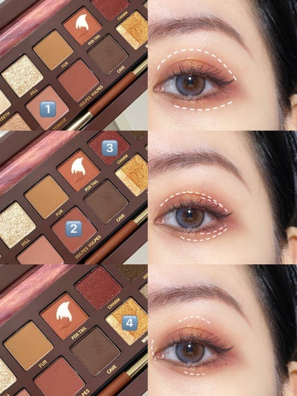 エクスプローラ12色 動物アイシャドウパレット/PERFECT DIARY/アイシャドウパレットを使ったクチコミ(3枚目)