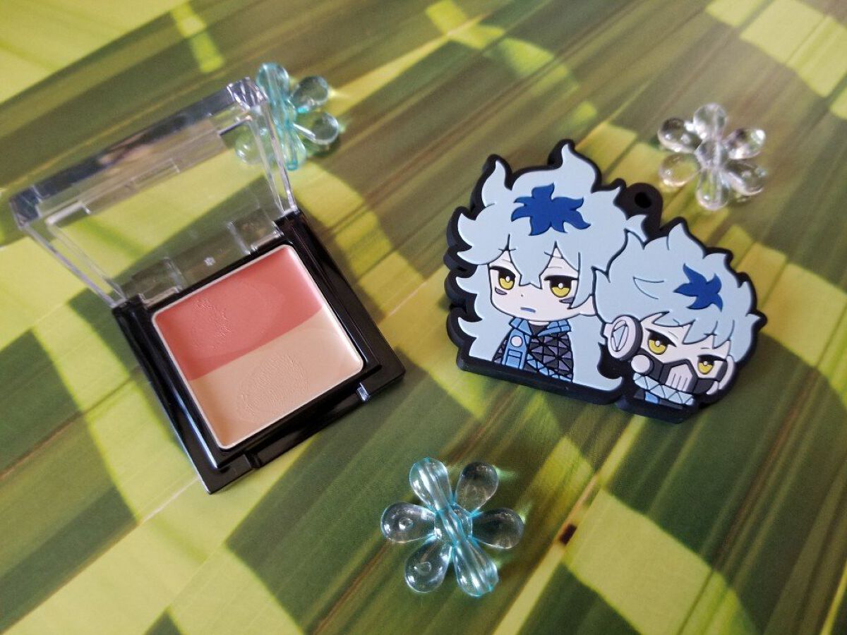 リシェ レッドトリック アイコンシーラー/Visée/パレットコンシーラーを使ったクチコミ（1枚目）