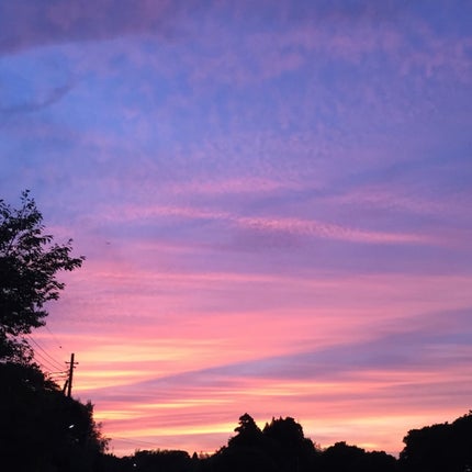 ANNA SUI スイドリームス オーデ トワレ のクチコミ「2枚目以降は、自分が撮った写真でイメージに合うものを載せています。
甘くて、爽やか。
バニラ.....」(3枚目)