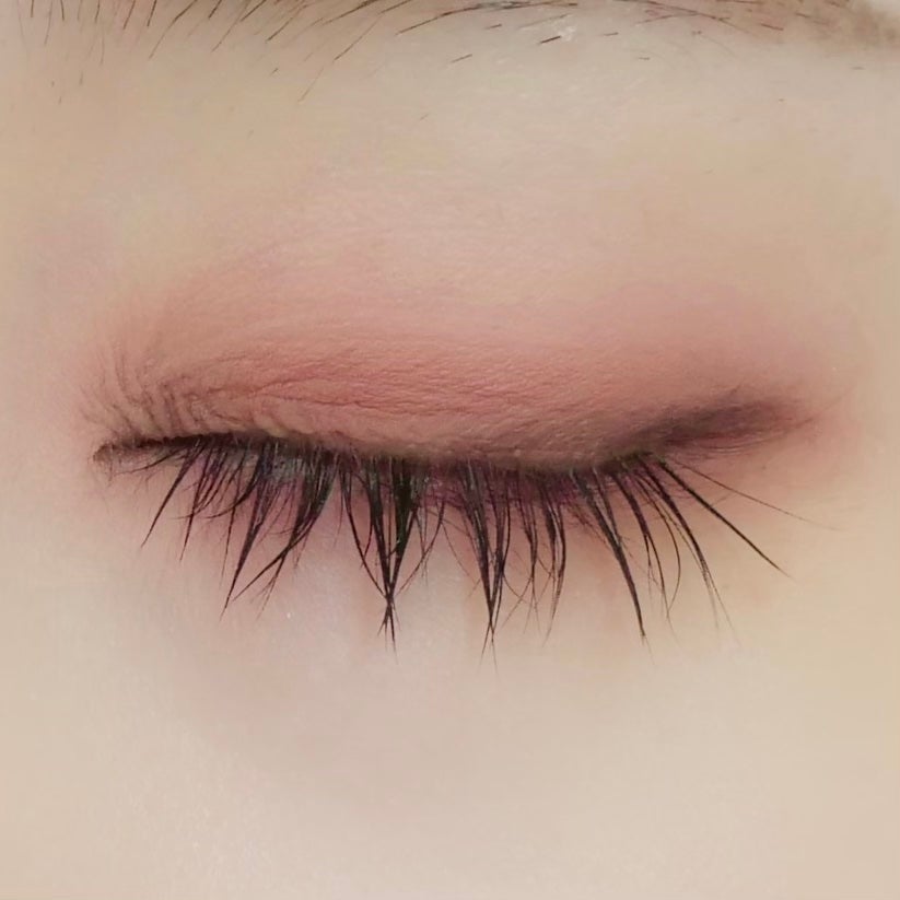 ブラーフィニシュシャドウパレット/Dinto/アイシャドウパレットを使ったクチコミ(8枚目)