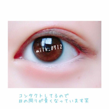 ハリネズミ🦔 on LIPS 「こんにちは~ハリネズミ🦔です♡今回は初めてのアイシャドウメイ..」(3枚目)