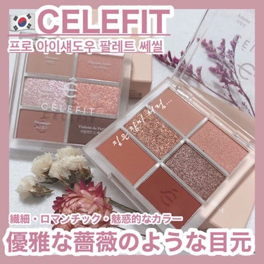 時空の歪み🌓韓国コスメ/中国コスメ on LIPS 「CELEFIT[PROEYESHADOWPALETTECECI..」（1枚目）