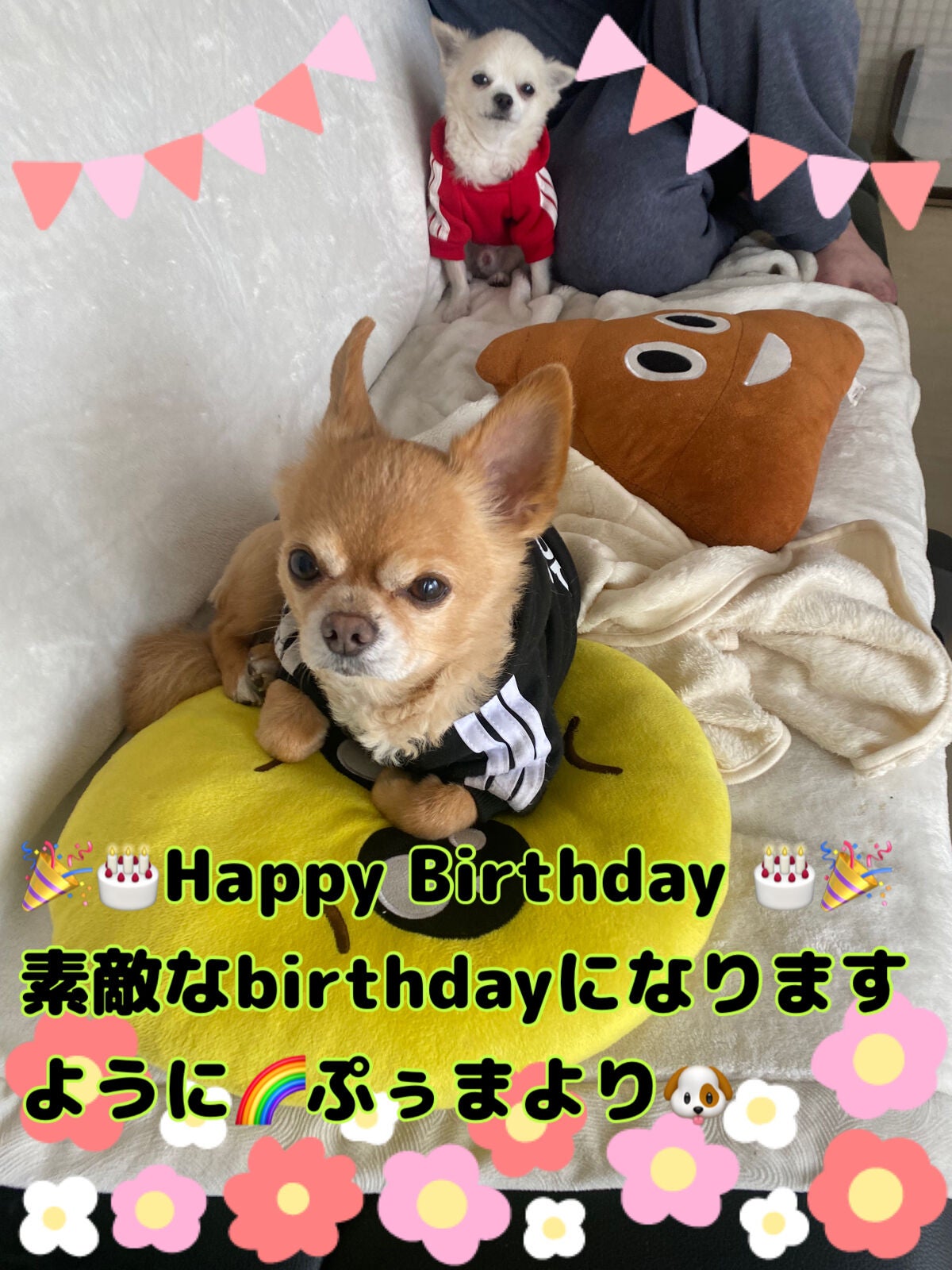 カラフルネイルズ/キャンメイク/マニキュアを使ったクチコミ(7枚目)