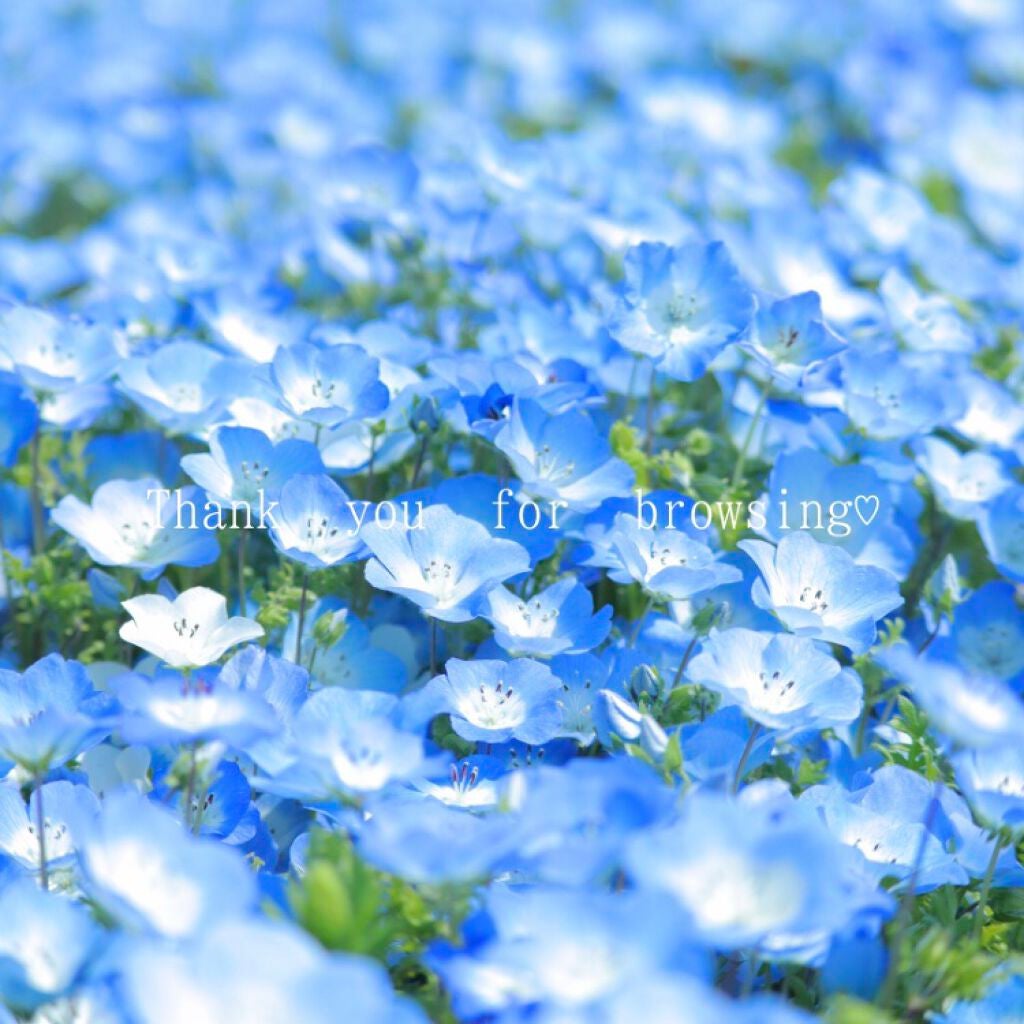 ティーツリーケア ソリューション エッセンシャルマスクEX/MEDIHEAL/シートマスク・パックを使ったクチコミ(8枚目)