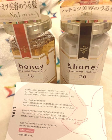 ディープモイスト シャンプー1.0／ヘアトリートメント2.0/&honey/シャンプー・コンディショナーを使ったクチコミ（1枚目）