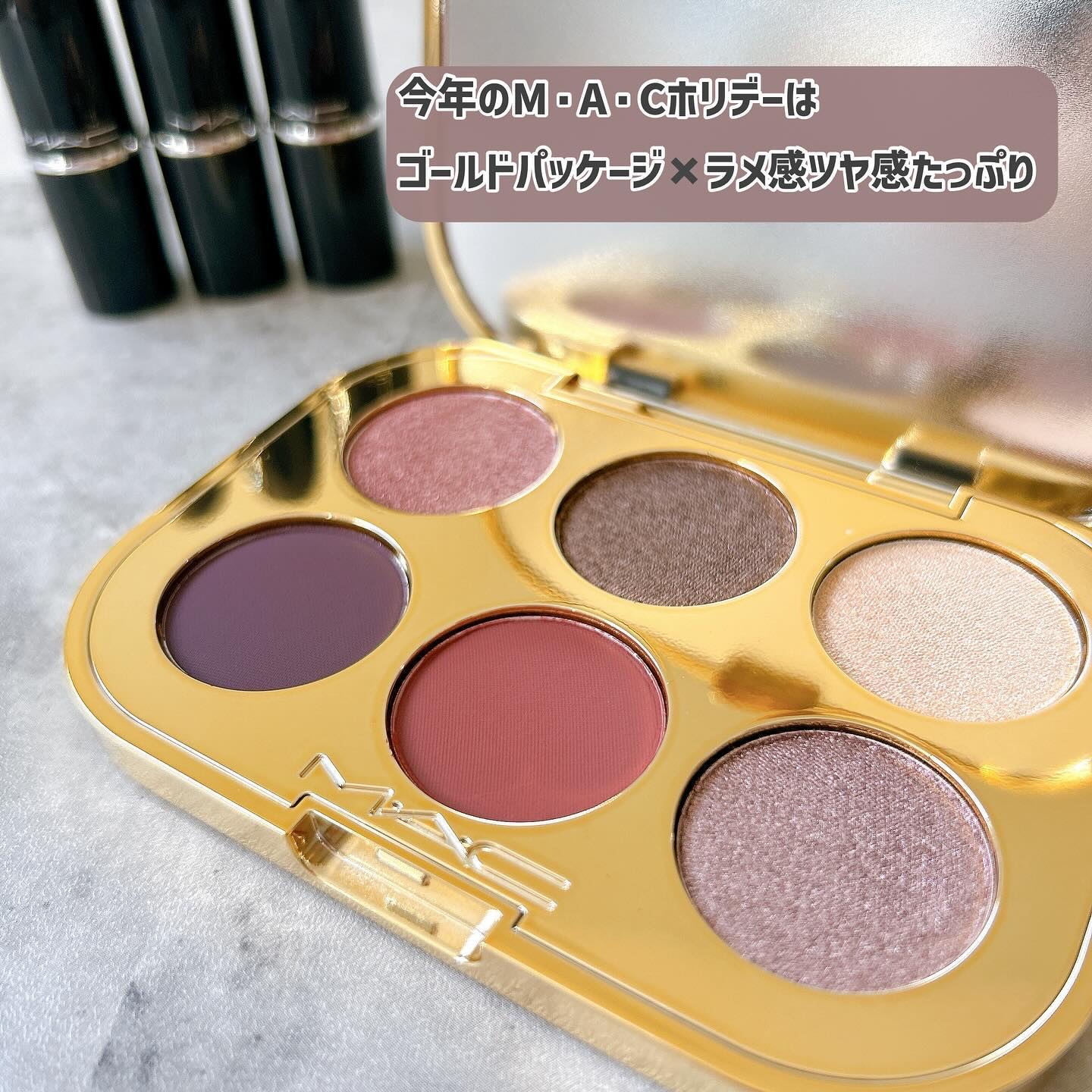 トレジャー アイシャドウ パレット ×6/M・A・C/アイシャドウパレットを使ったクチコミ（3枚目）