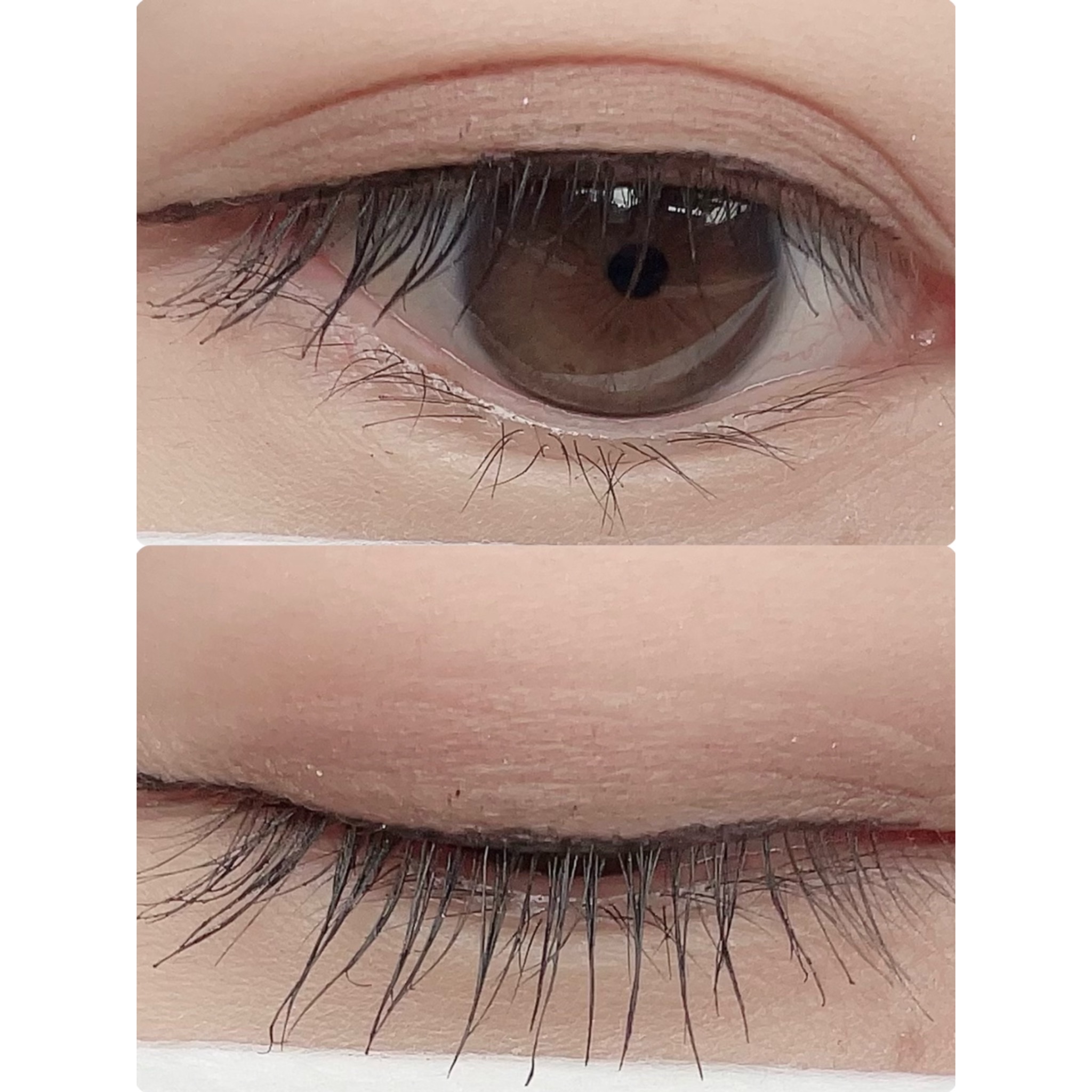 パーフェクトマルチアイズ/キャンメイク/アイシャドウパレットを使ったクチコミ（2枚目）