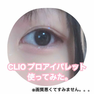 プロ アイ パレット/CLIO/パウダーアイシャドウを使ったクチコミ（1枚目）