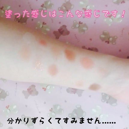 エクスプローラ12色 動物アイシャドウパレット/PERFECT DIARY/アイシャドウパレットを使ったクチコミ(3枚目)