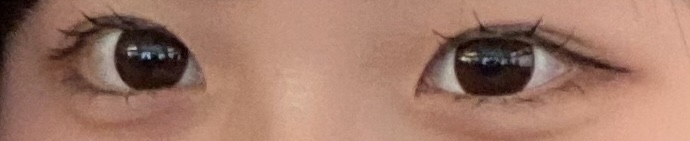 エバーカラーワンデー ナチュラル/エバーカラー/ワンデー（１DAY）カラコンを使ったクチコミ（2枚目）