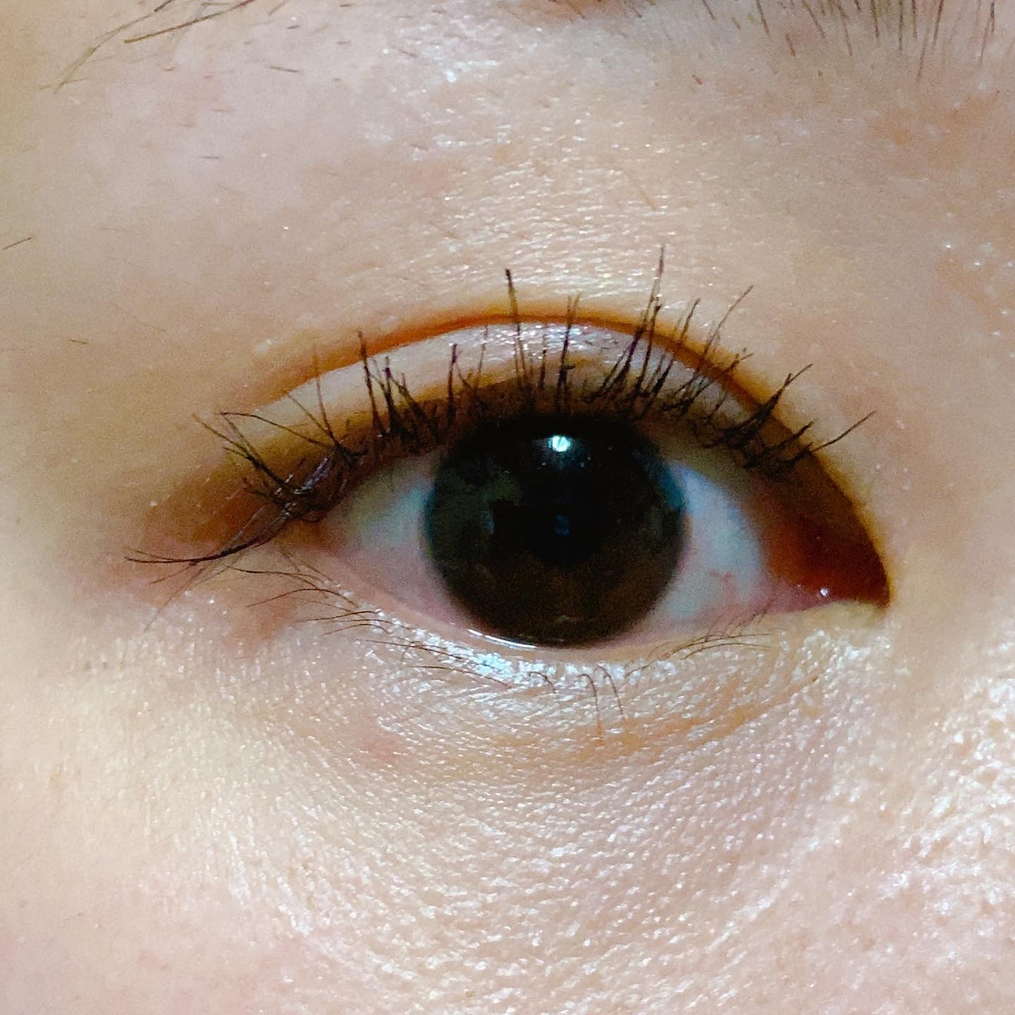 ã¹ã«ã€ãã€/MAYBELLINE NEW YORK/ãã¹ã«ã©ã䜿ã£ãã¯ãã³ãïŒ6æç®ïŒ