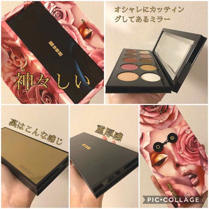 MOTHERSHIP PALETTES/PAT McGRATH LABS/アイシャドウパレットを使ったクチコミ(2枚目)