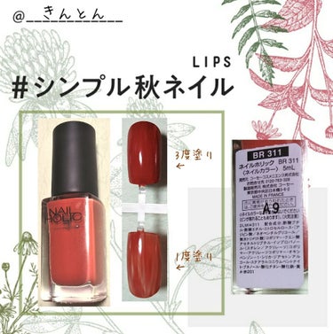 ネイルホリック Ethnic color BR311/ネイルホリック/マニキュアを使ったクチコミ（1枚目）