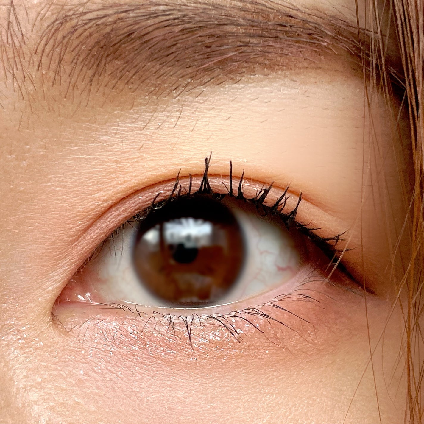 ハイパーリフトマスカラ/D-UP/マスカラを使ったクチコミ(3枚目)